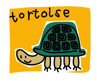 Tortoise