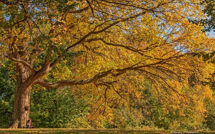 Relaxation on a Fall Day