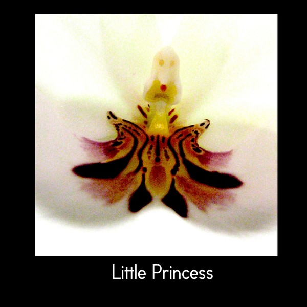 Little Princess