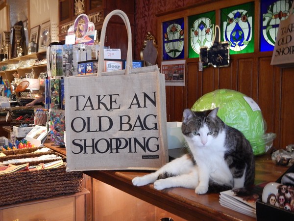 Take An Old Bag Shopping