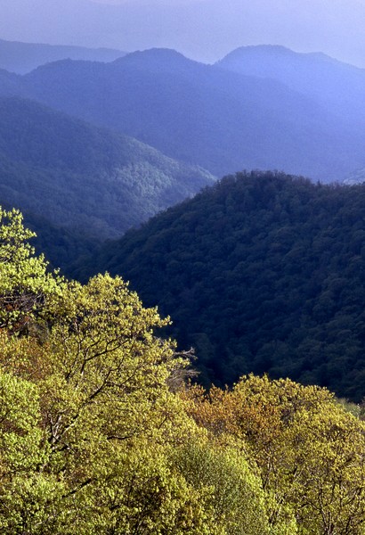 Great Smoky Mountains National Park