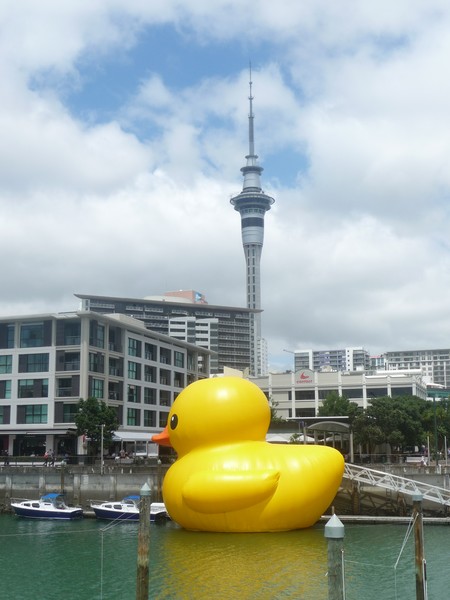 Duck in the big city