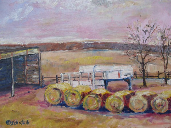 Farmer Yard