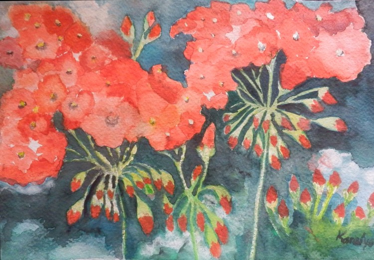 Geranium