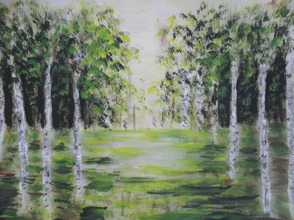 silver birch in the sunlight