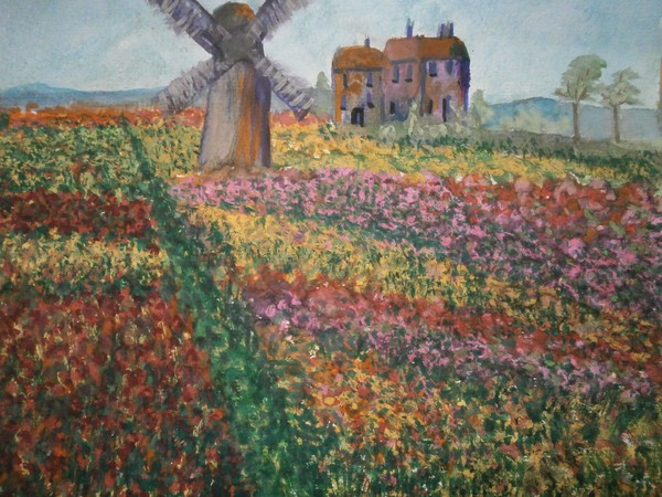 fields of flowers