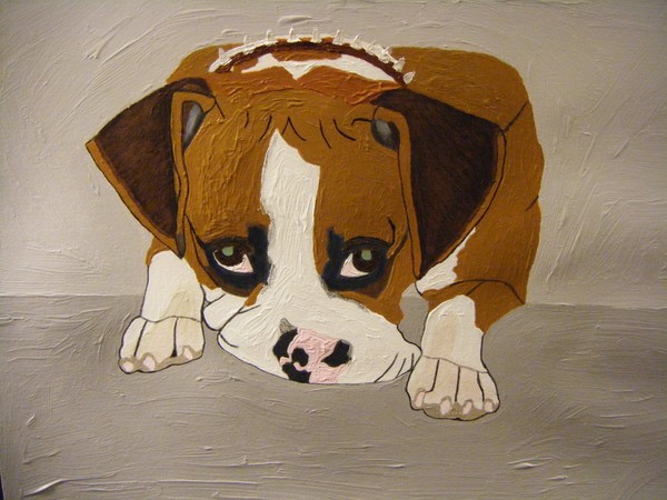 Jodi the Boxer