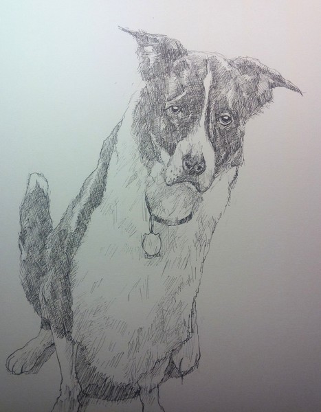 lees dog , the loss of a friend