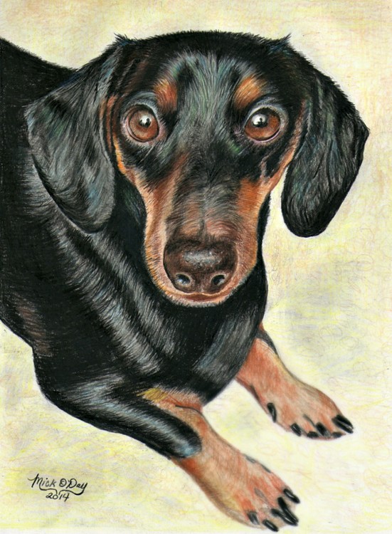 scan0007a