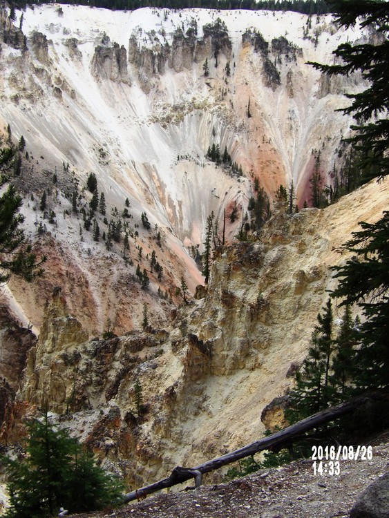 08 26 16 Yellowstone NP (42)