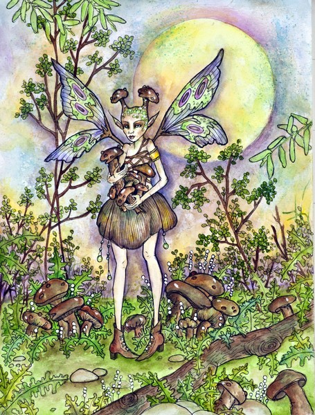 Mushroom Gatherer