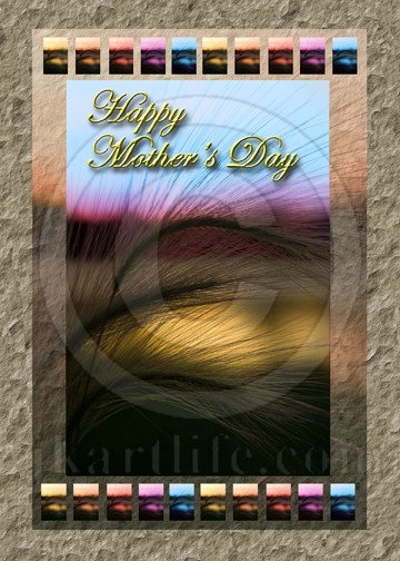 Mother's Day Grass Sunset 905841