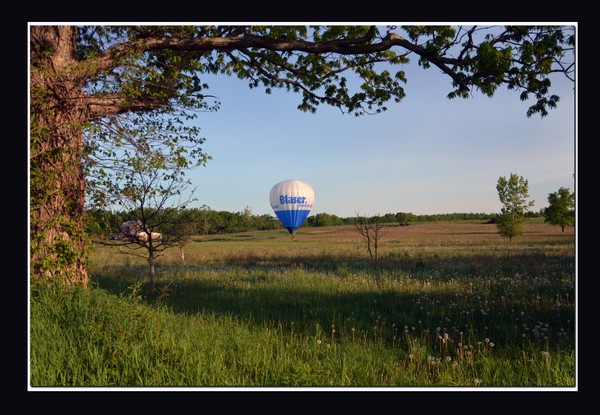 Balloon lovely