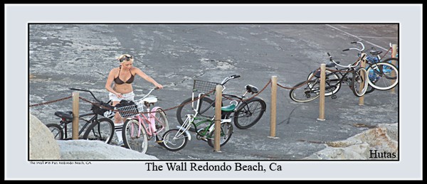 The Wall #16 Pan Redondo