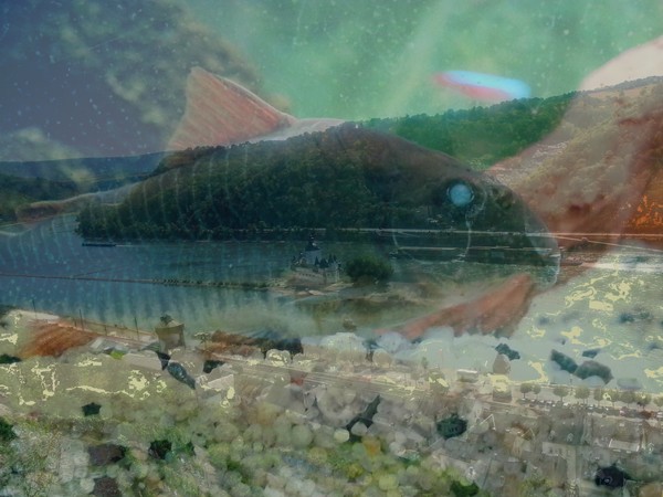 Manipulation 14