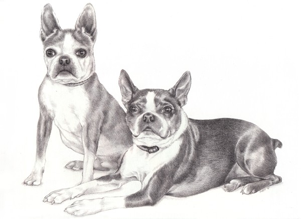 Petey and Pudgy