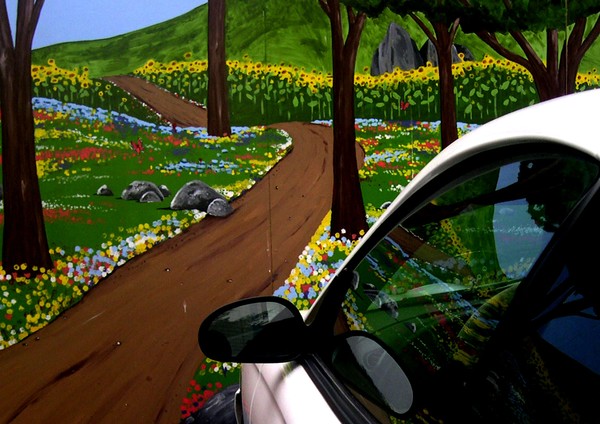 Car in front of a mural