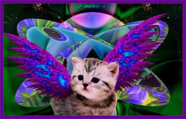 Winged Cat of Rigel 7