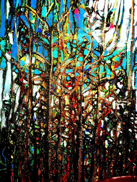the forest