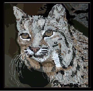 GREY CAT