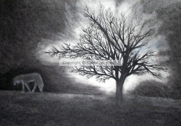 Ghost Tree