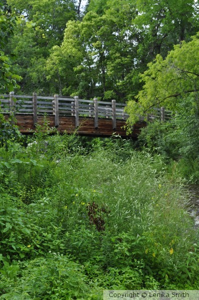 Nature's Bridge