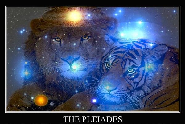 PLEIADES9