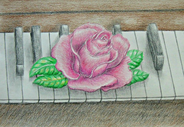 Pink Rose On Piano