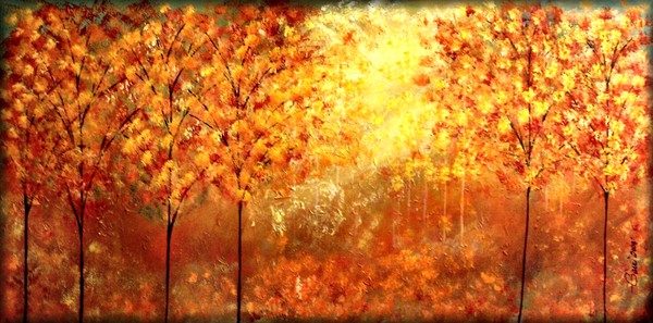 Sunkissed Forest