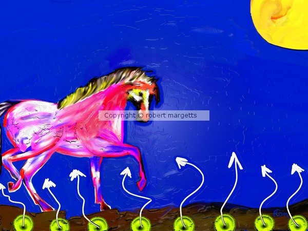 horse ride through an open field
