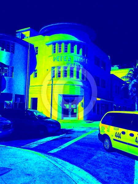 Miami Blues