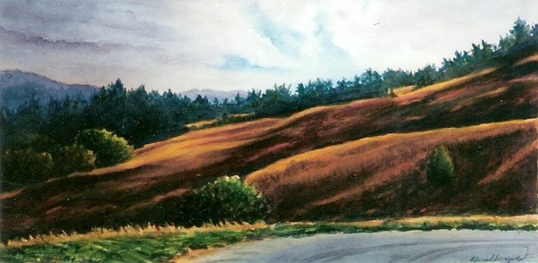 Early Morning on a Mountain Road