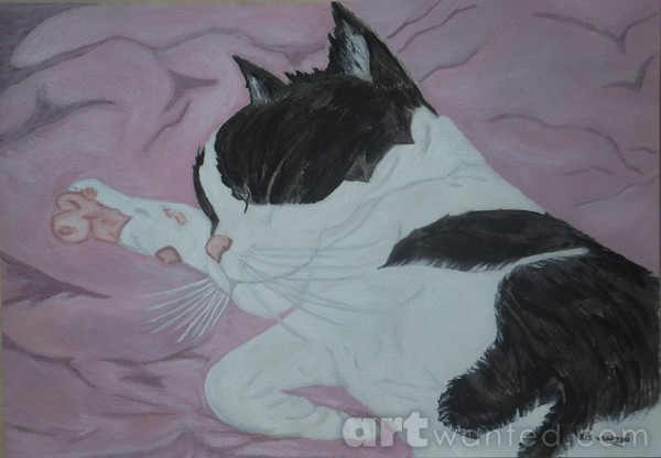 purrfect