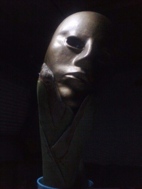 Steamhead