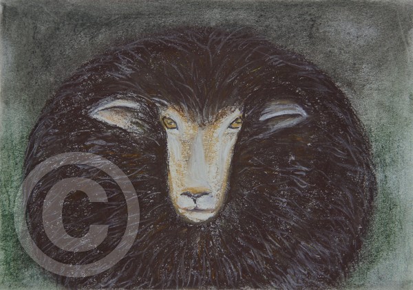 Mad Sheep