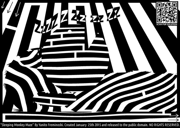 Sleeping monkey maze