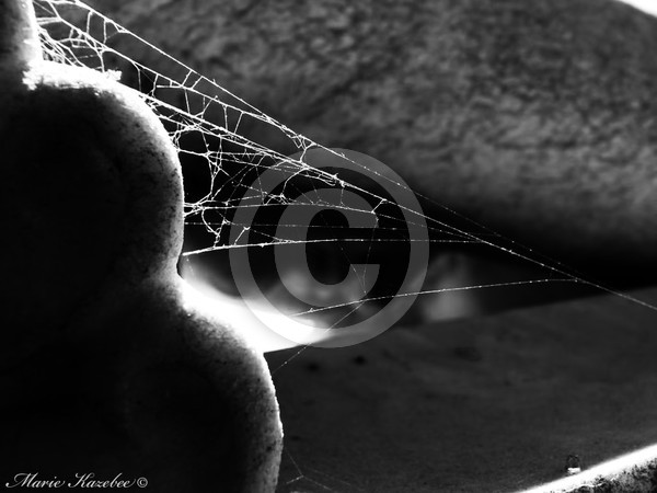 Webbed