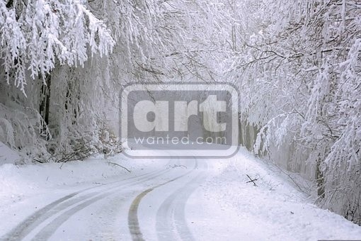 Snowy road