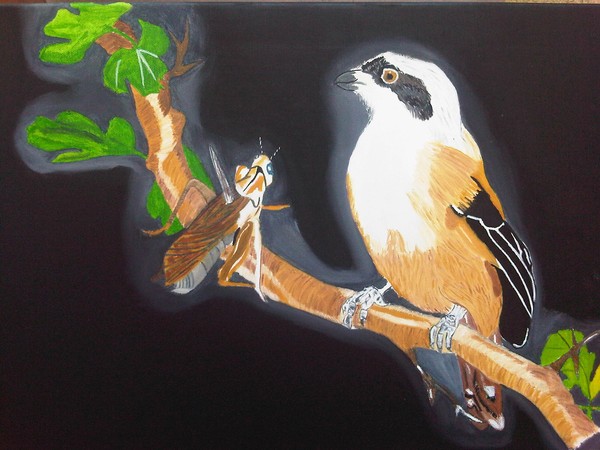 Feast Painting Rufous Baked Shrike