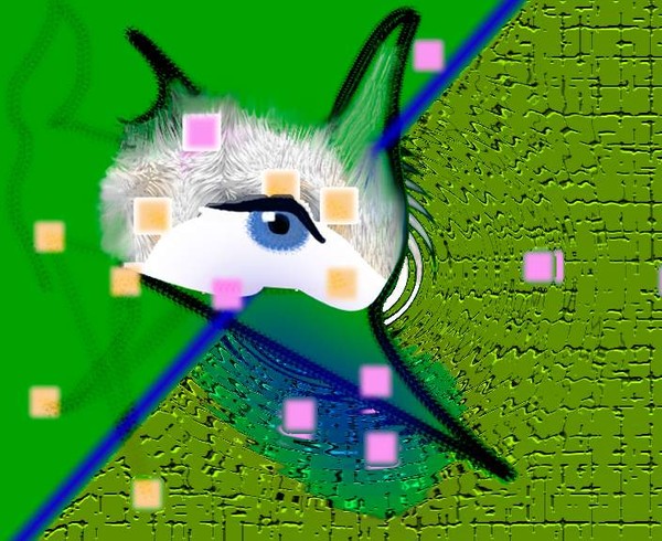 Fox-Bird