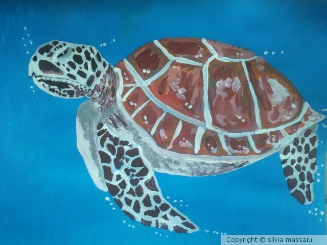 caretta caretta sea turtle 