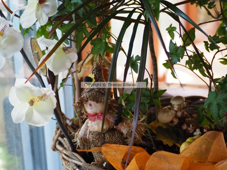 Floral Arrangements