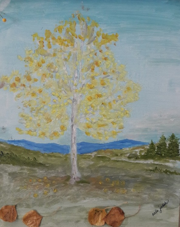 Aspen Tree