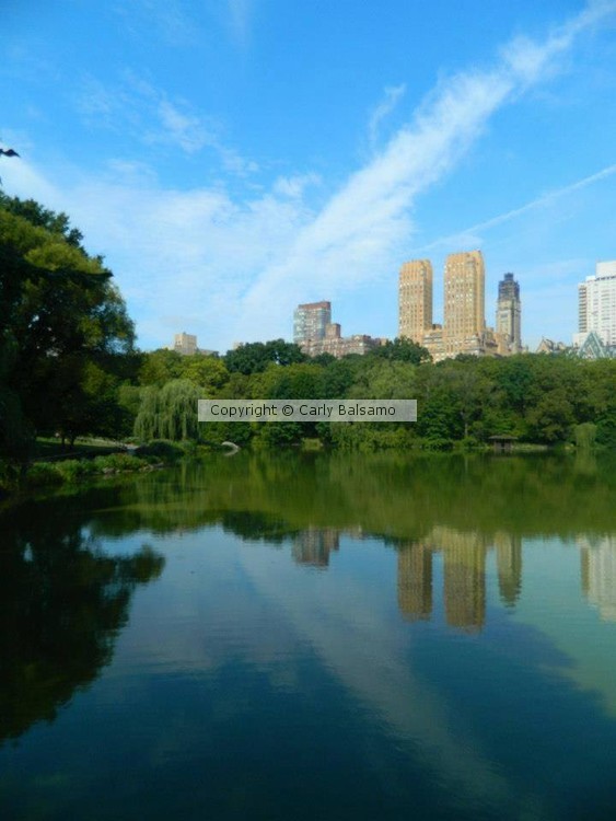 Central Park, NYC