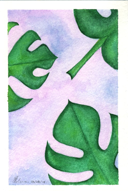 Monsterella Leaves