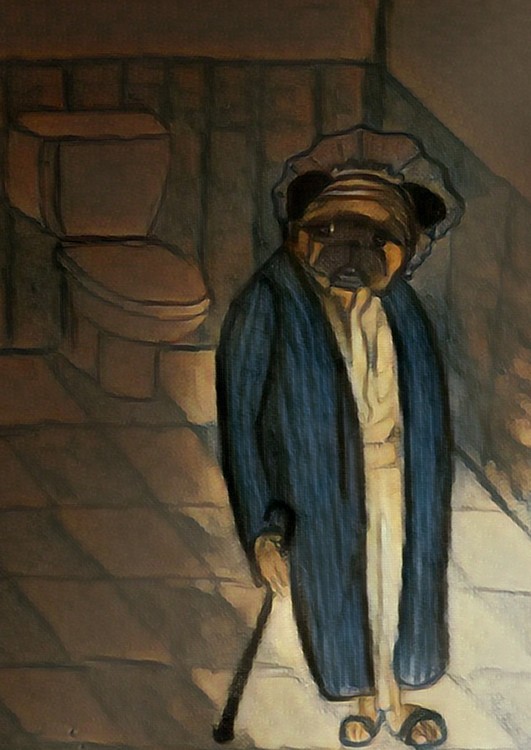 Mr Potter