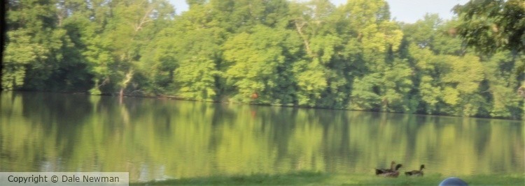 A Ducks getaway
