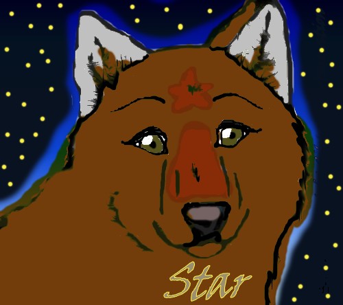 Star