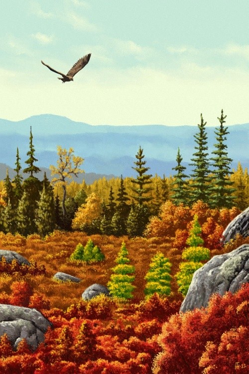 Autumn in Lapland