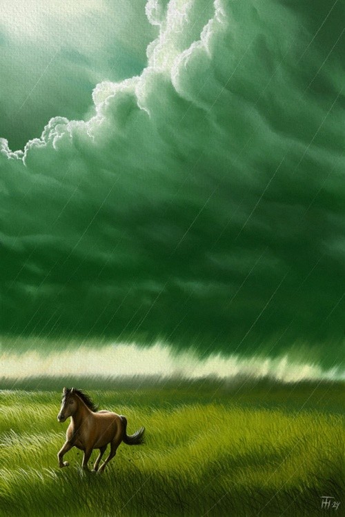 Storm Rising